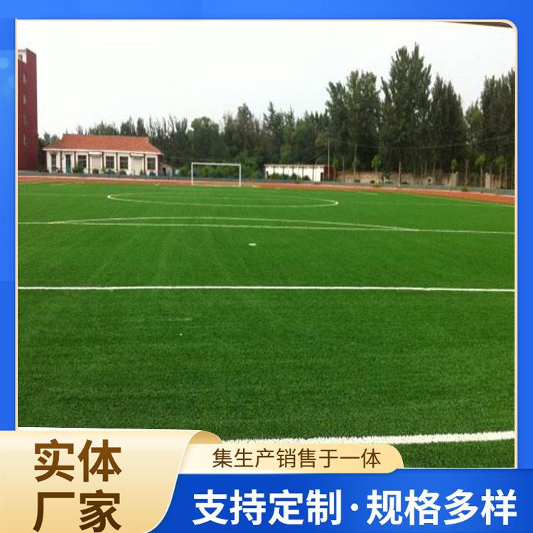 南充市学校塑胶跑道人造草坪 - 排名